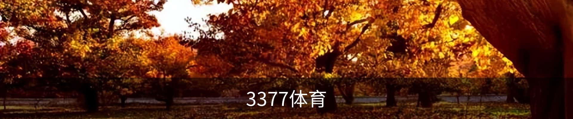3377体育(中国)官方网站-3377SPORTS